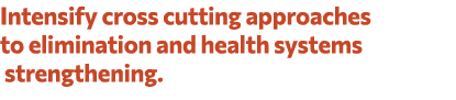 Intensify cross cutting approaches to elimination and health systems strengthening. 