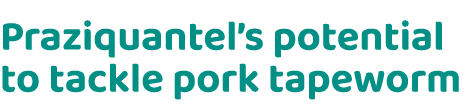 Praziquantel’s potential to tackle pork tapeworm